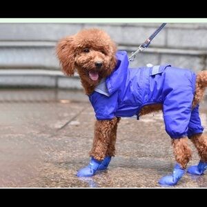 Pet 🐾 Rain ⛈ Boots🎿